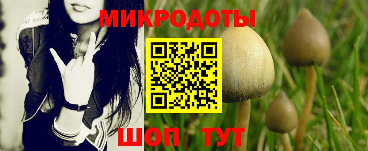 Карпинск  Псилоцибиновые грибы Cubensis  где найти наркотики  Псилоцибиновые грибы мухоморы  Вход с VPN 